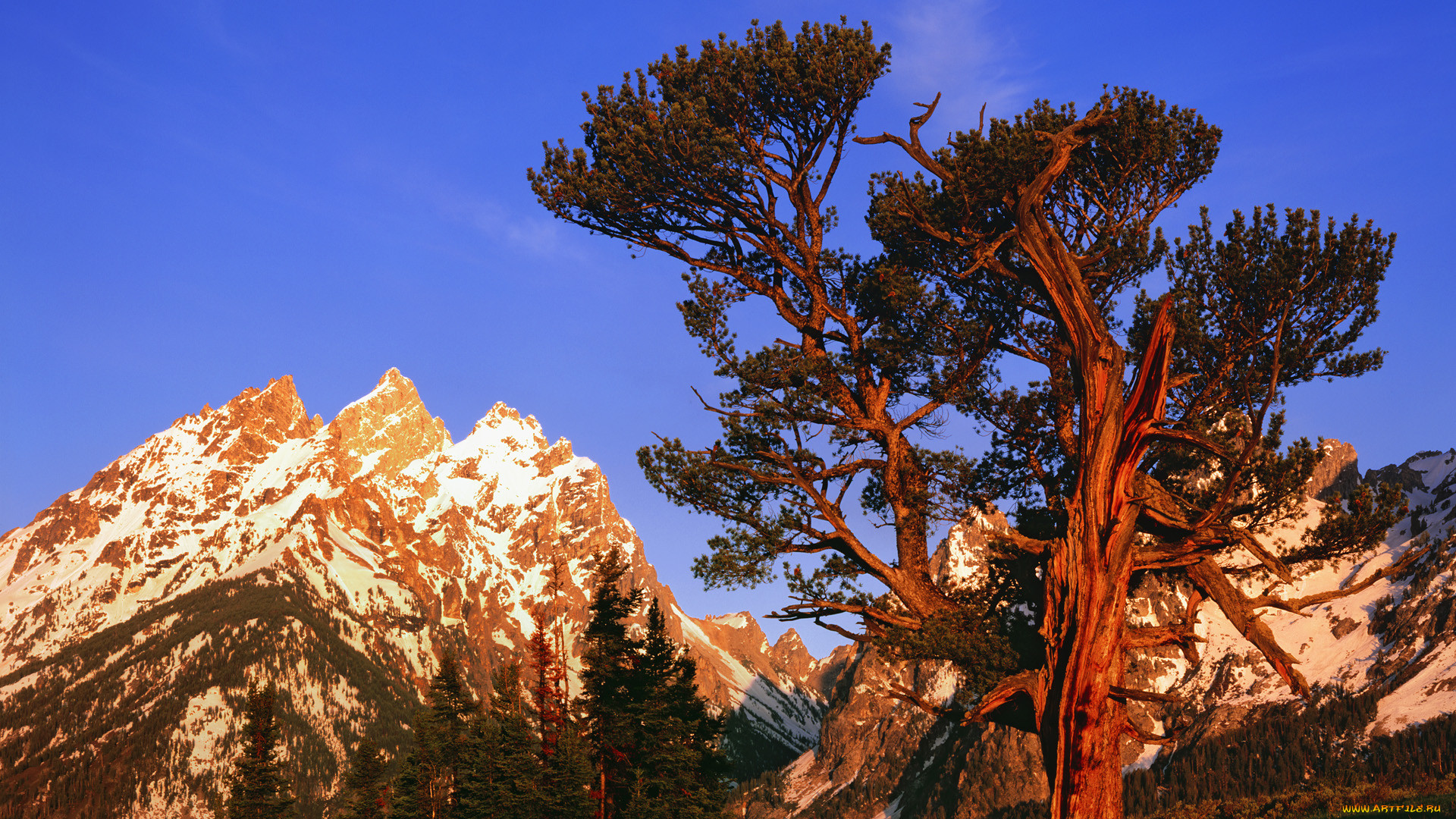 grand, teton, national, park, , , 